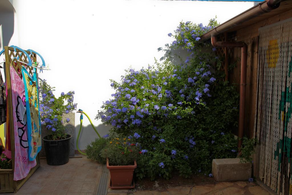 Bonjour Bed & Breakfast Morciano di Leuca Bilik gambar